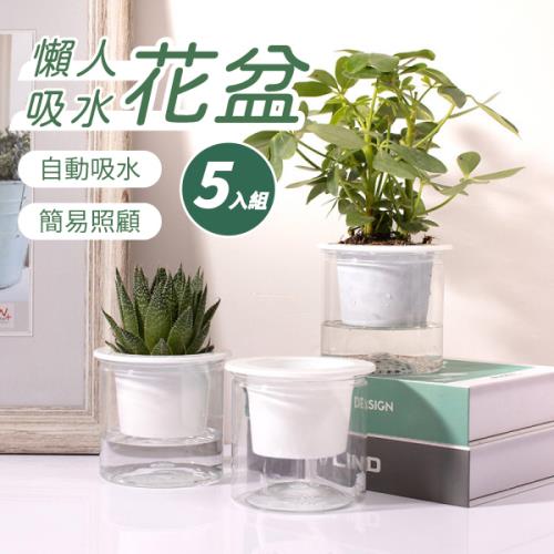 【5入組】懶人透明花盆 (200g/個)