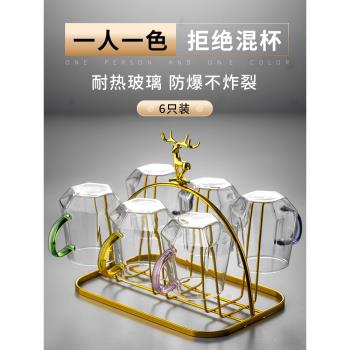 玻璃杯帶把耐高溫茶杯水杯家用套裝客廳泡茶杯具套裝女待客水杯子