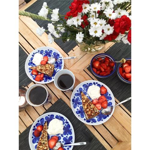 瑞典Rorstrand藍色蝴蝶經典 釉下彩復古進口日本早餐平盤咖啡杯碗