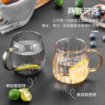 玻璃杯家用套裝ins風家用高顏值杯子高硼矽耐熱帶把手泡茶喝水杯
