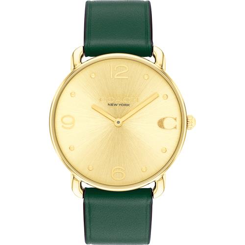 COACH Elliot C字皮帶女錶-金面綠皮帶(CO14504202)