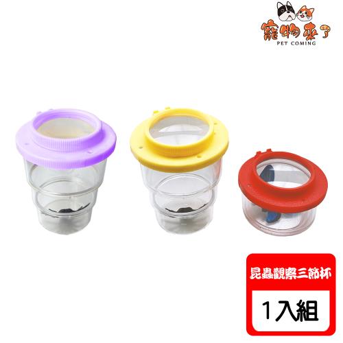 寵物來了 昆蟲觀察三節杯 X1入