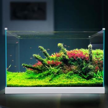 森森加寬超白玻璃魚缸客廳小型生態水族箱水草缸中型桌面金魚缸