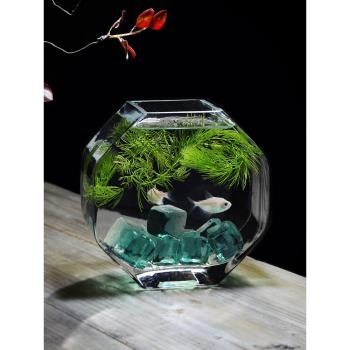 斗魚缸加厚高白玻璃個性魚缸小號創意魚缸辦公桌面熱帶魚缸高品質