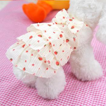 寵物草莓裙夏季背心泰迪狗狗貓咪衣服可愛小裙子小型犬寵物吊帶裙