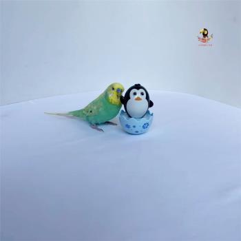 鸚鵡不倒翁啃咬互動玩具益智手養虎皮牡丹玄風中小型鳥用品用具