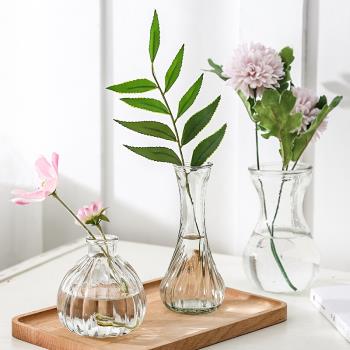 水培創意玻璃花瓶水仙花植物水培容器插花瓶綠蘿透明花盆風信子瓶