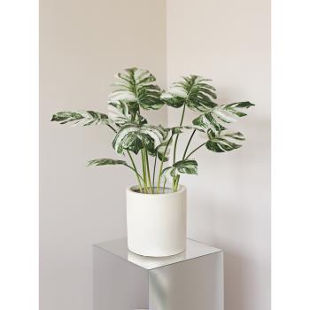 ladylike北歐ins風仿真植物盆栽擺件 室內客廳龜背葉綠植裝飾盆景