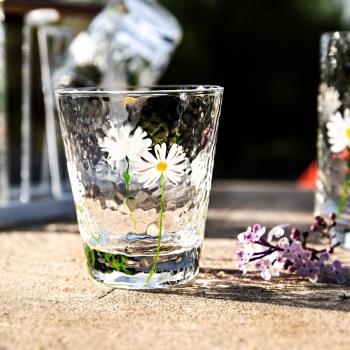 日系ins手繪小雛菊錘目紋玻璃杯清新小雛菊透明耐熱玻璃杯水杯子