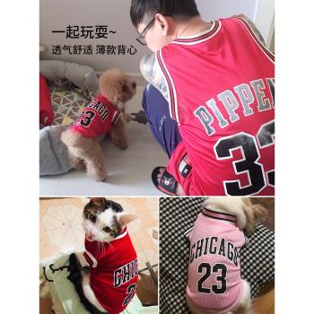 狗狗衣服夏季薄款泰迪大型中型小型犬寵物夏天金毛防掉毛貓咪背心