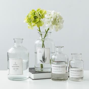 花瓶ins風北歐透明玻璃創意簡約干花插花客廳網紅裝飾水養擺件小