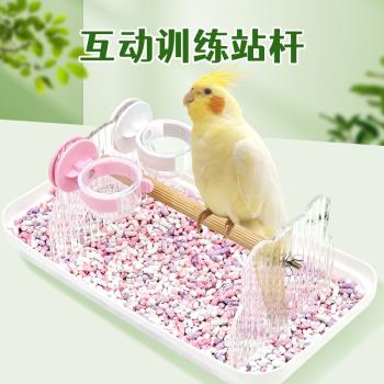 刺星球亞克力桌面鳥站架子牡丹鸚鵡鳥用互動訓練站桿站臺用品玩具