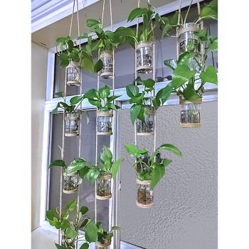 創意壁掛麻繩花瓶水培綠蘿植物風鈴幼兒園居家背景墻裝飾田園吊件