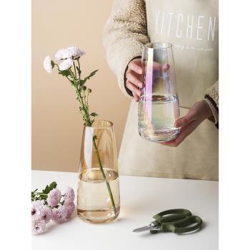 態生活現代簡約創意小花盆擺件北歐透明水培干花插花客廳玻璃花瓶