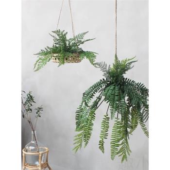 北歐ins蕨類植物吊球 模擬垂吊綠植 波士頓蕨鹿角蕨壁掛擺件裝飾