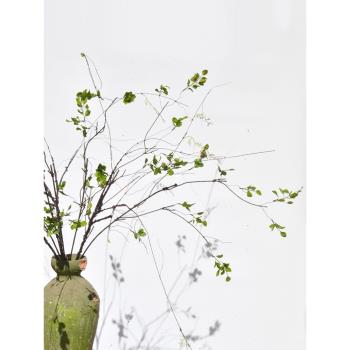 新中式樹枝模擬枝條中古禪意插花花藝幹裝飾綠植客廳乾花假花擺件