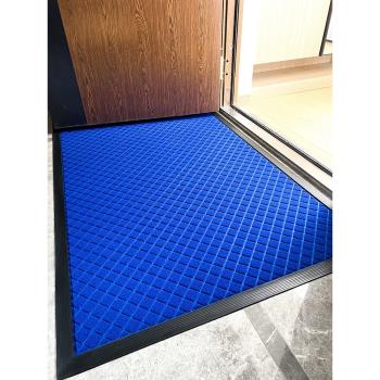 入戶門進門地墊藍色門口入門地毯門外家用入宅防滑腳墊高級感門墊