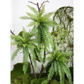 模擬單只長葉蕨類綠植假霸王波斯厥葉熱帶雨林植物角造景觀裝飾草