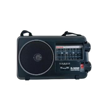 Tecsun/德生 R-305P收音機配件拉桿天線插電電源老人背帶便攜指針