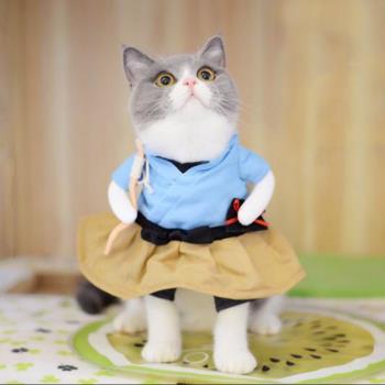 抖音同款貓咪衣服浦島太郎喵咪搞笑裝搞怪裝貓咪衣服貓咪直立裝