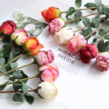 浪漫焦邊玫瑰花假花新年客廳桌面餐桌玄關擺件裝飾花卉仿真花高檔
