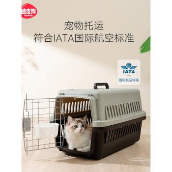 貓包外出便攜大容量貓咪太空艙揹包大容量航空箱手提式寵物行李箱