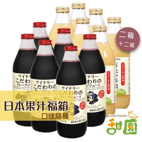 【甜園】日本果汁福箱 二箱12入 中元普渡 拜拜福箱 100%純果汁 青森蘋果汁