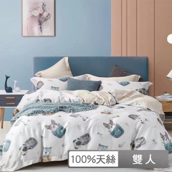【貝兒居家生活館】100%天絲七件式兩用被床罩組 (雙人/七彩夢溪)