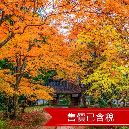 (巳成團)東北花卷賞楓名所～奧入瀨溪．十和田湖．峽谷溪流楓情～嚴美溪．AEON．雙溫泉四日(含稅)SUP23HH101