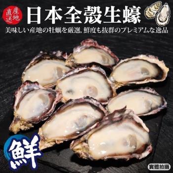漁村鮮海-日本廣島帶殼生蠔(10-13顆_約1kg/包)