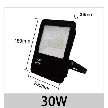 【青禾坊】歐奇OC 30W LED 戶外防水投光燈 投射燈-2入 (超薄 IP66投射燈 CNS認證 )