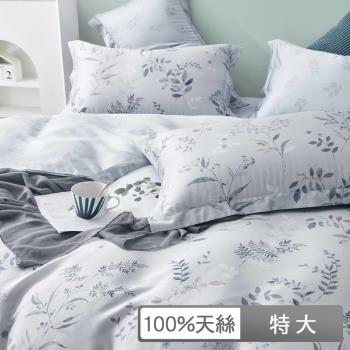 【貝兒居家生活館】60支100%天絲七件式兩用被床罩組 裸睡系列(特大雙人/朱實裊裊)