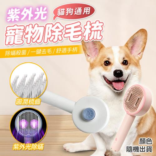 紫外線寵物專用梳毛除毛刷 