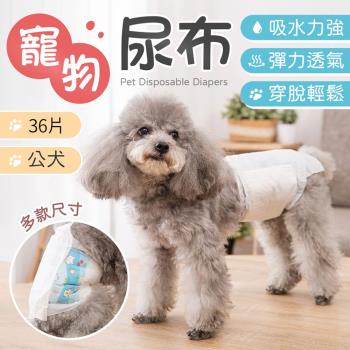 【御皇居】寵物尿布-公犬36片(吸水強 超親膚 好穿脫)