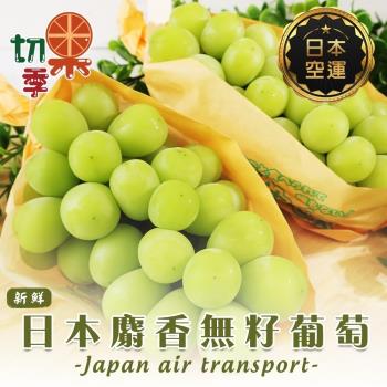 切果季-日本空運無籽麝香葡萄1房x1盒(約450-500g/串)