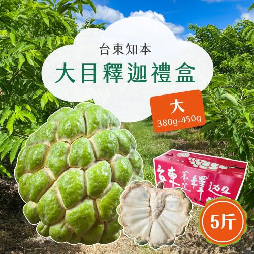 【初品果】台東知本大目釋迦禮盒5斤6-7顆x2盒