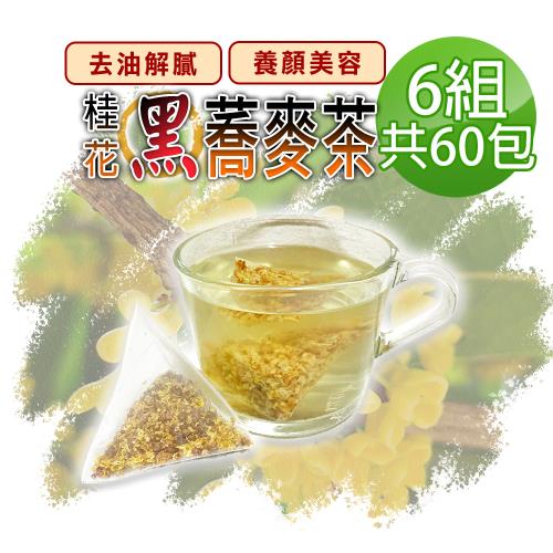 【蔘大王】桂花蕎麥茶X6組（6gX10入/組）黃金蕎麥頂級版黑苦蕎茶 長效期版 油膩分解王 超大霸王量6g/入