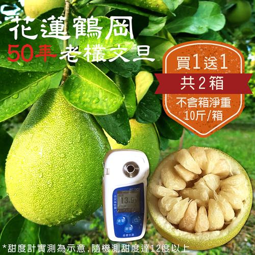 【買1送1】花蓮鶴岡54年五星級天河老欉文旦10斤不含箱淨重共2箱(10斤裝/箱)