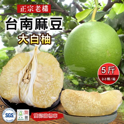 【禾鴻】麻豆老欉大白柚5斤x1盒(2-3顆/盒)(SGS認證+產地團體標章)