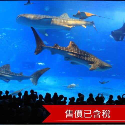 寒假~沖繩櫻花紛紛.美之海水族館.愛情海商店街.賞味美食（鐵板牛排＋海景下午茶）四日含稅【長榮】 2024OKA002