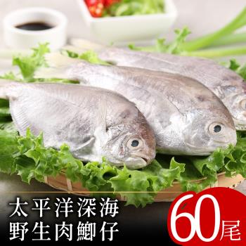 【北村漁家】太平洋深海野生肉魚60尾(2尾/包)