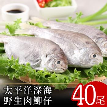 【北村漁家】太平洋深海野生肉魚40尾(2尾/包)