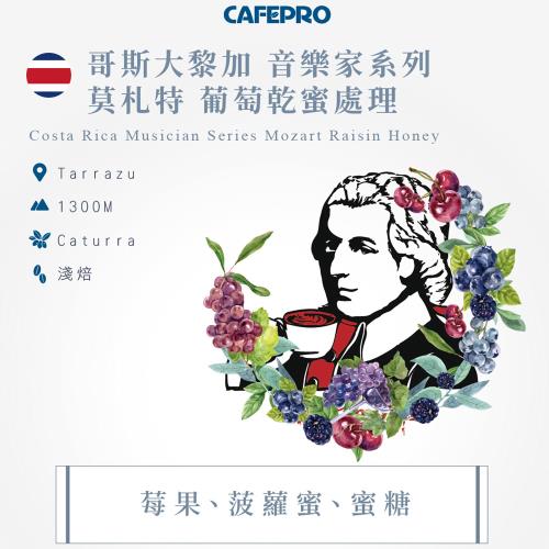 哥斯大黎加 音樂家系列 莫札特 (葡萄乾 蜜處理) (咖啡生豆)(二次篩選)