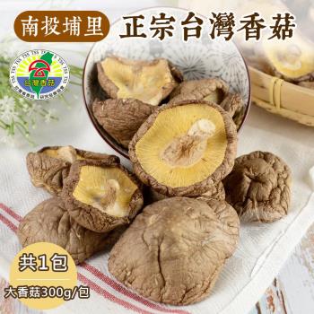 【禾鴻】南投埔里產地直送正宗臺灣大香菇大包裝(300g/包)x1包