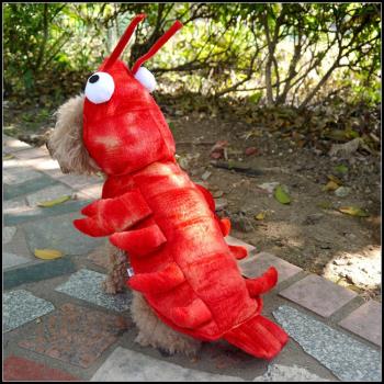 IN7 小龍蝦寵物衣服萬聖節搞怪搞笑服裝