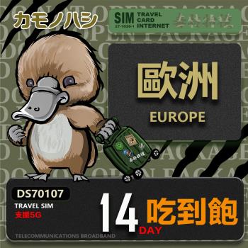 【鴨嘴獸 旅遊網絡卡】Travel Sim 歐洲14天吃到飽 歐洲上網絡卡 歐洲網絡卡 吃到飽網絡卡