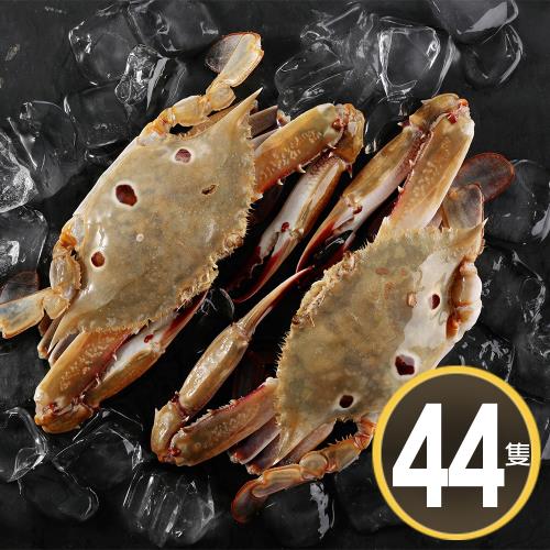 華得水產-活凍三點44隻(150-200g/隻)