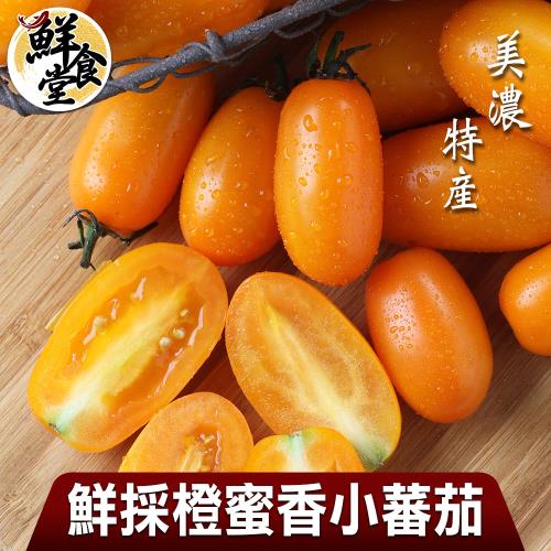 【鮮食堂】美濃特產鮮採橙蜜香小蕃茄1箱(3斤/箱/禮盒裝)