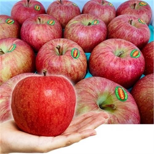 【RealShop 真食材本舖】日本弘前蜜富士蘋果5kg±10%/13-14顆/禮盒裝