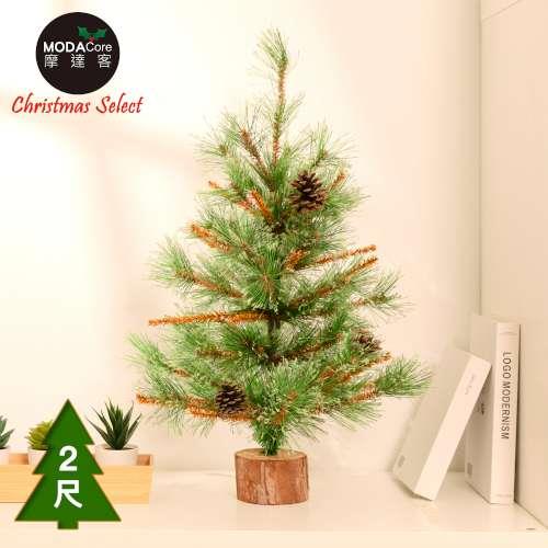 摩達客耶誕-60cm高級開花黃枝松針原木底座聖誕樹裸樹/不含配件/本島免運費